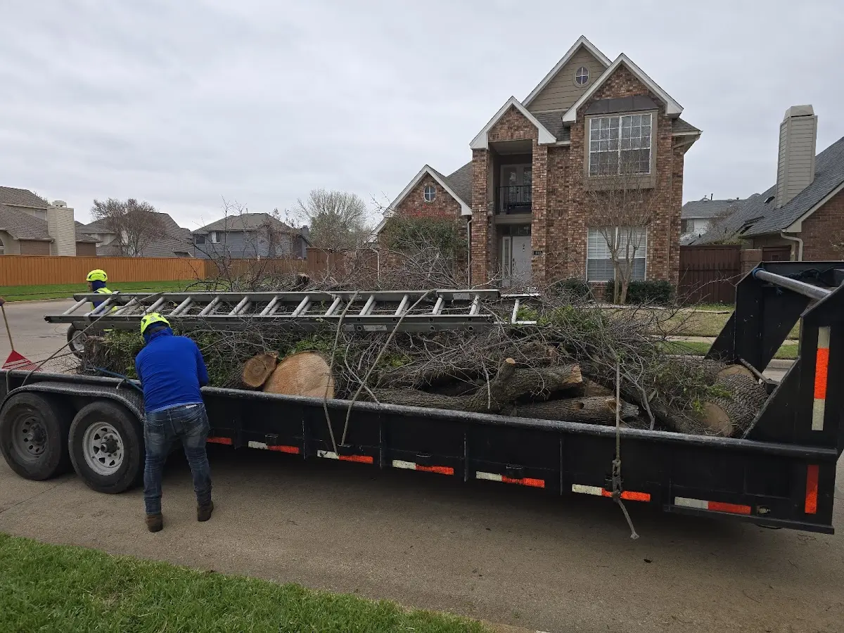 Expert Tree Pest Control with proper safety equipment in Big Prairie